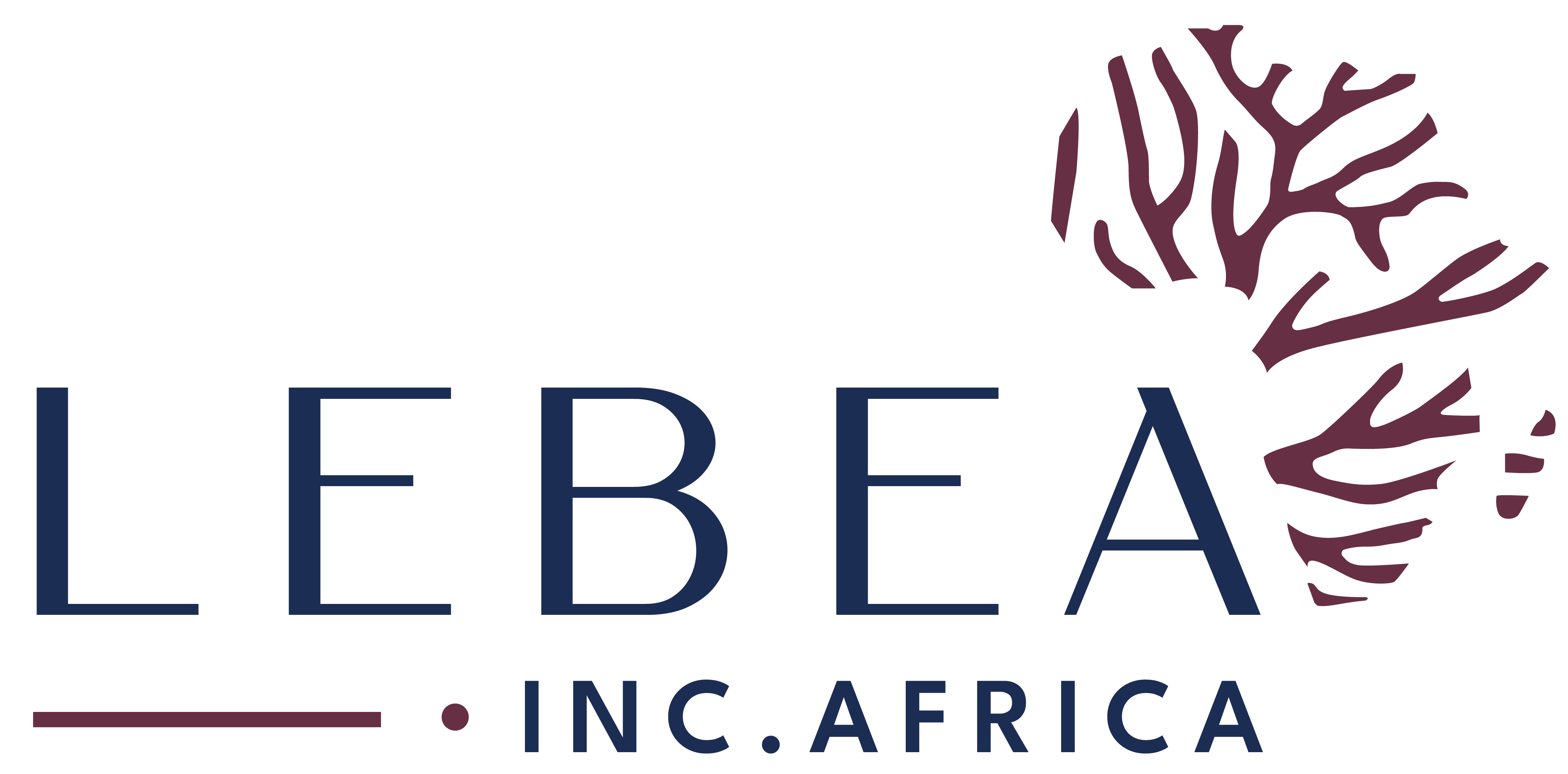 LEBEA INC. AFRICA